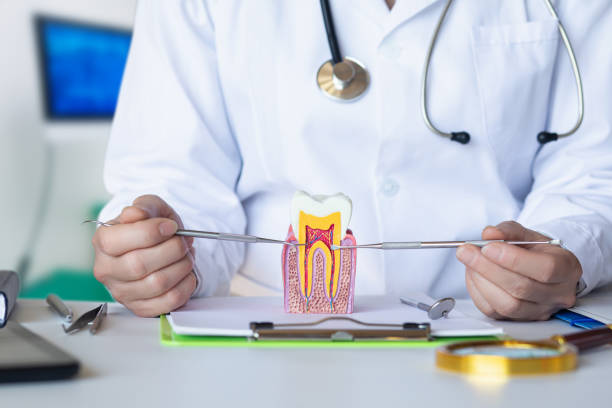 Best Emergency Dental Care for Abscessed Tooth in Hancock, MD